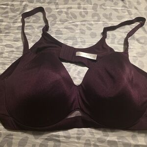 Cacique Deep Purple Bra
